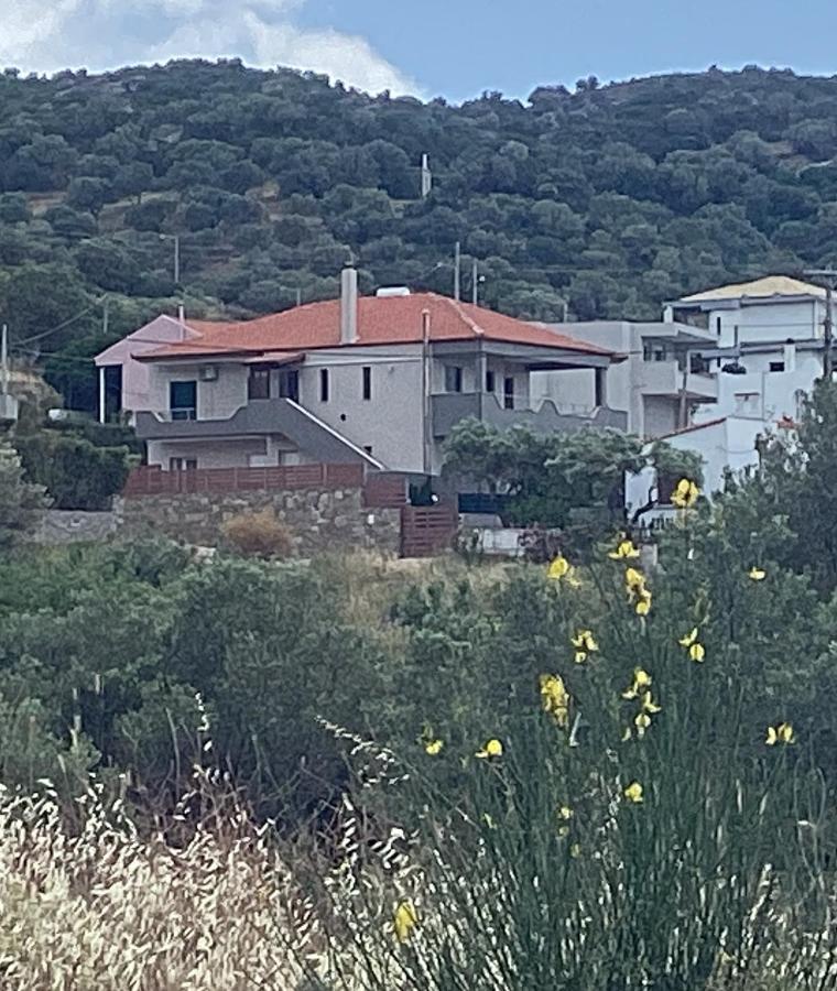 Marmari Village Agia Marina  エクステリア 写真